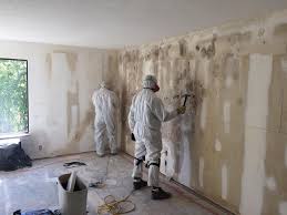 Best Forensic Mold Investigation in Perry, OK